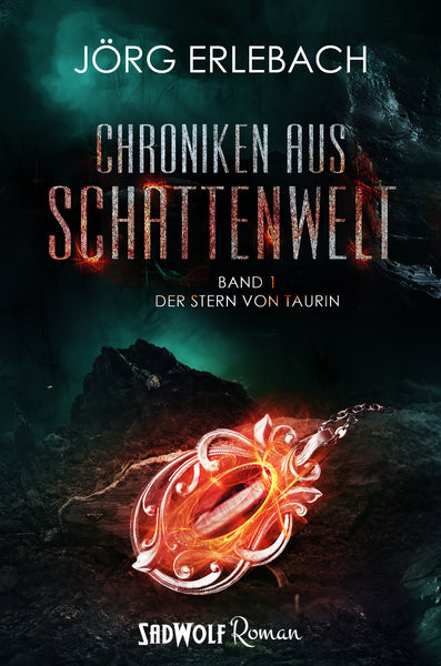 Chroniken aus Schattenwelt: Der Stern von Taurin (Band 1) von Jörg Erlebach